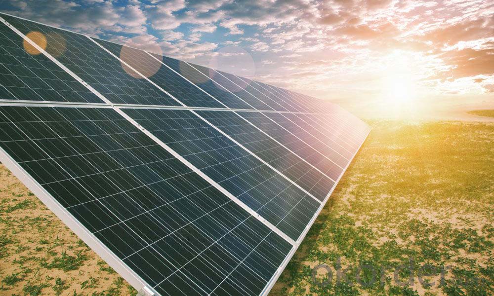 260W Solar Panels: Everything You Need to Know