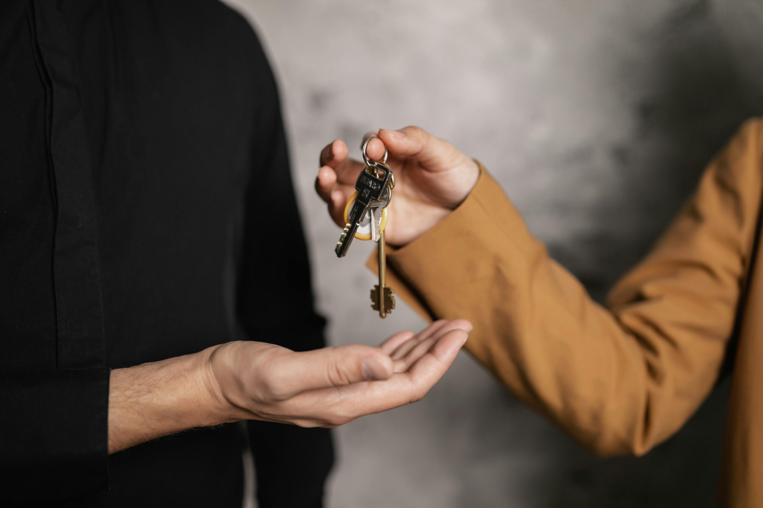 Real Estate Investment Strategies for Beginners