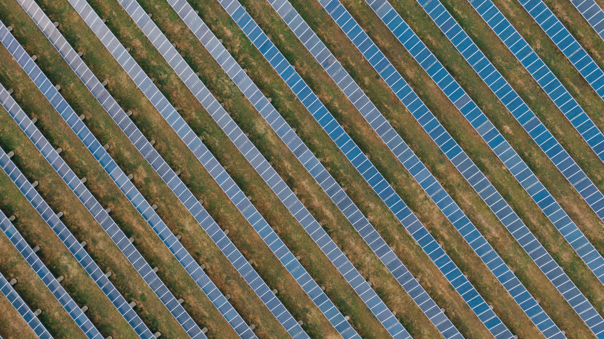 Top 10 Reasons Why Denver Homeowners Should Go Solar